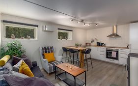 Spacious two bedroom basement apartment